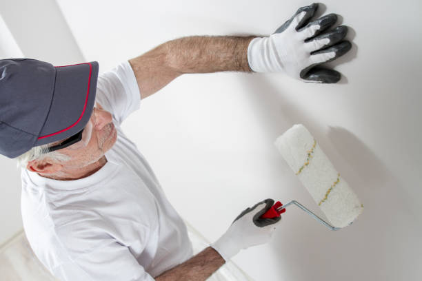 Reliable Elgin, OK Dry wall and painting Solutions